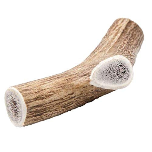 GBM Antler Chews- Premium Whole Elk Antler Chews for Dogs- Long Lasting  All-Natural  for Tough Chewing Dogs  Large