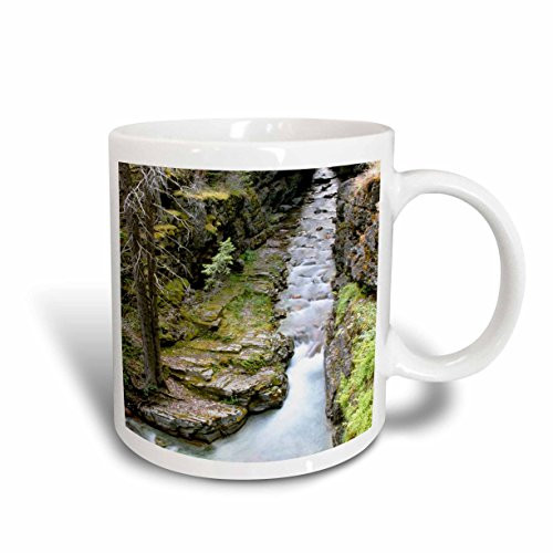 3dRose Sun Rift Gorge Montana Glacier National Park Ceramic Mug  11-Ounce
