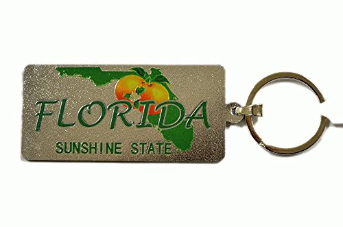 Double Sided Florida Sunshine State License Plate Magnetic Keychain - Florida Souvenir