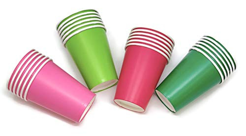 Pink Watermelon Birthday Party Paper Cups 9 Ounce  24 Pack