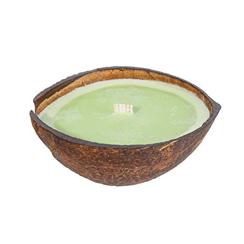 Coconut Lime Scented Candle in Coconut Shell   Clean Burning Soy  and  Coconut Wax   Tropical Beach Candle Handmade in Real Coconut   Novelty Candles for Home  8.5oz
