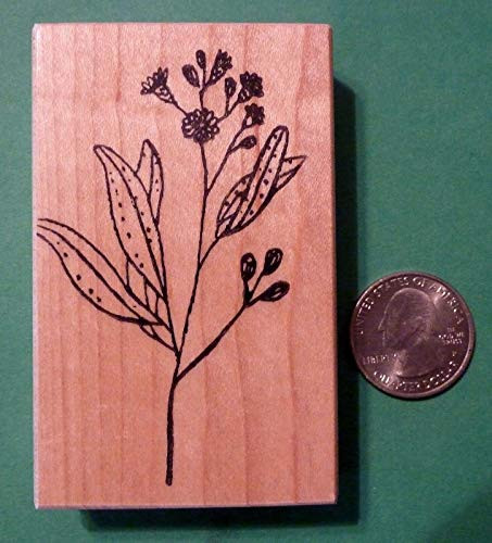 Passion Pod Flower  Wood Mounted Rubber Stamp - Rubber Stamp Wood Carving Blocks