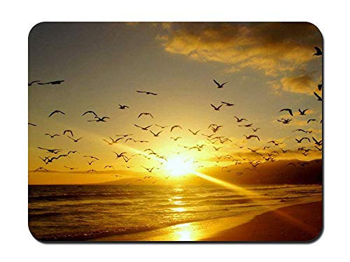 Mouse Pad - Birds On The Beach Sunset Clouds - Customized Rectangle Non-Slip Rubber Mousepad Gaming Mouse Pad 2530cm