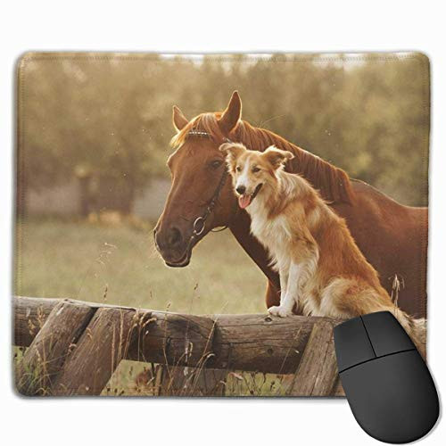 Mouse Pad  Desk Mousepad  Small Mouse Pad  Mouse Mat Red Border Collie Dog and Horse Together at Sunset in Summer