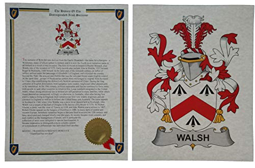 Walsh - Coat of Arms and Last Name History - 8.5x11 Print Combo Set