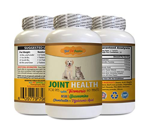 Dog Joint Supplement with tumeric - Pets Best Turmeric for Joint Health - for Dogs and Cats - Premium Joint Support - Turmeric for Dog - 60 Treats  1 Bottle
