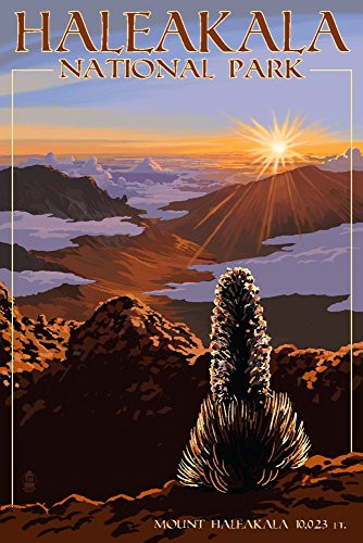 Haleakala National Park - Sunrise  12x18 Art Print  Wall Decor Travel Poster