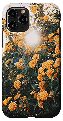 iPhone 11 Pro Floral Marigold Flowers Yellow Aesthetic Bright Sun 2021 Case