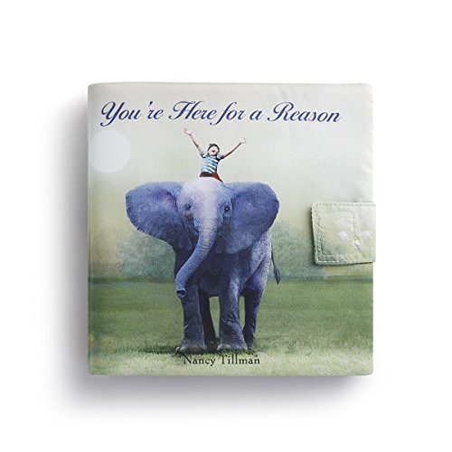 DEMDACO You re Here For A Reason Elephant Sage Sunrise Children s Plush Soft Book Toy