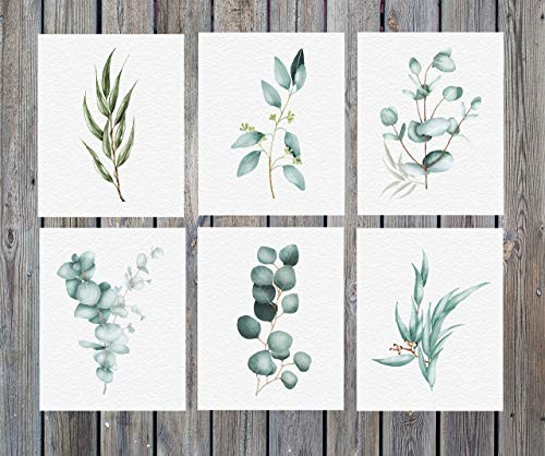 Eucalyptus Botanical Prints Wall Art - Eucalyptus Leaves -  Set of 6  - Unframed - 8x10 inch- Botanical Pictures  Greenery Wall Art  Farmhouse Kitchen Decor