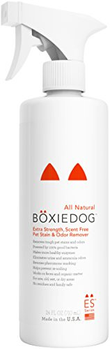 Boxiedog Premium Extra Strenth Scent Free Stain  and  Odor Remover  24 oz