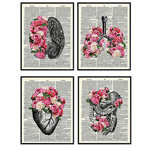 Vintage Organs Dictionary Wall Decor Picture Set  8x10 - Steampunk Goth Gift for Nurse  Doctor  Physician  Med Student  PA - Upcycled Shabby Chic Anatomy Posters for Dr Office  Medical Clinic