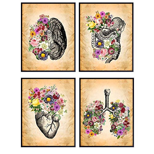 Vintage Human Anatomy - Boho Flower Wall Decor  Home Art Decoration or Gift for Women  Nurse Practitioner  Doctor  RN  Medical Office  Bedroom  Living Room - Shabby Chic Heart  Lungs  Brain Set