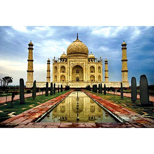 CAIfnv The Taj Mahal Puzzle  Puzzles 1000 Piece Adults Kids Large Puzzle Game The Taj Mahal Jigsaw Puzzle