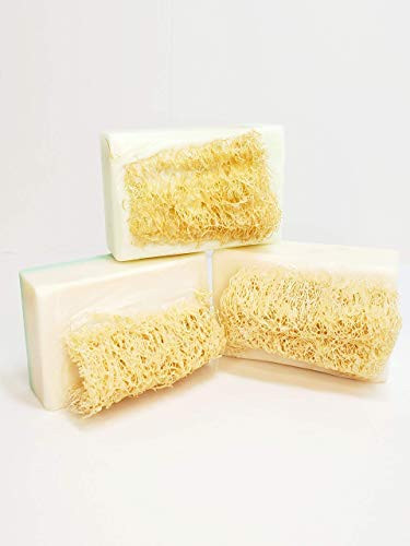 Luffa Soap Set Handmade Soap  Eucalyptus Rosemary  Gardenia  White Tea  and Ginger  Embedded Loofah Made in USA