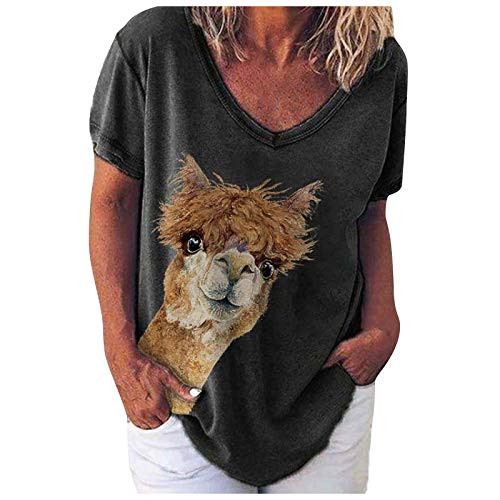 Funny Alpaca T-Shirt Llama Best Friends Alpaca Animal Lover Gift T-Shirt Black