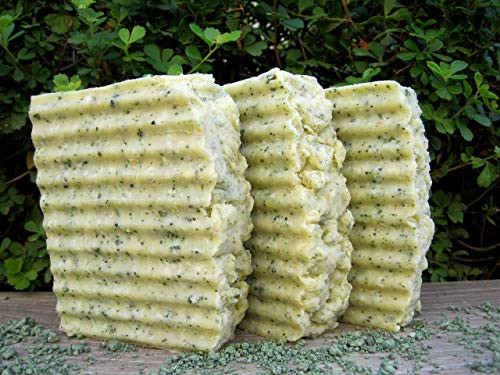 Kelp and Sea Salt Soap Scrub