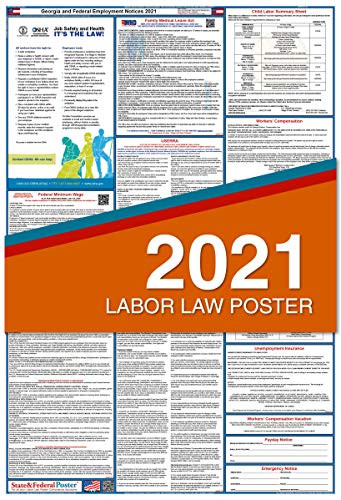2021 Georgia Labor Law Posters  Laminated  All-in-One State and Federal Approved  OSHA Compliant Vertical 27 inchx40 inch  GA2-27X40-ENG