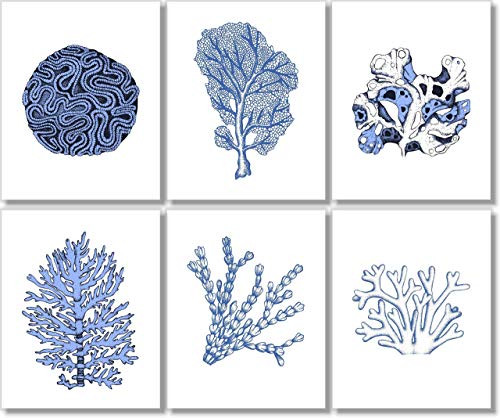 Beach Wall Art - Coral Prints -  Set of 6  - 8x10 - Unframed - Ocean Decor