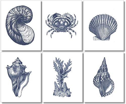 Beach Wall Decor Art Prints  Set of 6  - Vintage Seashells - 8x10 - Unframed - Blue