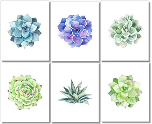 Succulent Wall Art Prints Set of 6 - 8x10 - Unframed - Botanical Print - Cactus Decor Succulent Wall Art Prints Set of 6 - 8x10 - Unframed - Botanical Print - Cactus Decor