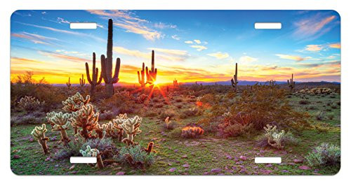 Lunarable Saguaro License Plate  Sun is Setting Between Saguaros Wildflowers in The Sonoran Desert Scene Picture  High Gloss Aluminum Novelty Plate  5.88 inch X 11.88 inch  Multicolor