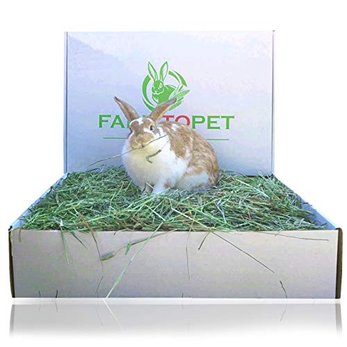 Farm to Pet  inchBest inch 2nd Cutting Timothy hay Pet Food for Rabbits  Guinea Pigs  Chinchillas  Hamsters  Mice  Birds  and all Small Pets. Fresh  Clean with no Insecticides