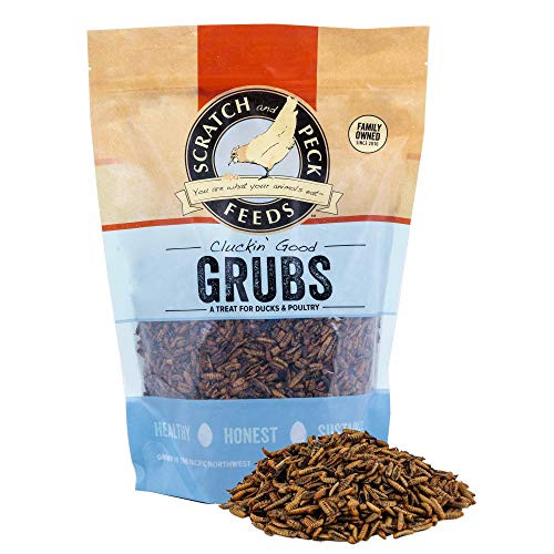 Scratch and Peck Feeds Cluckin Good Grubs Tasty Treats for Chickens and Ducks - 1.25-lbs - Dried Black Soldier Fly Larvae - 9700-20 Scratch and Peck Feeds Cluckin Good Grubs Tasty Treats for Chickens and Ducks - 1.25-lbs - Dried Black Soldier Fly Larvae - 9700-20