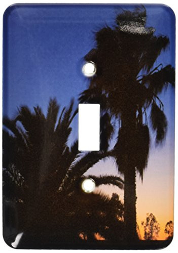 3dRose lsp_74085_1 Palm Trees, Sunset, Stuart Highway, Outback, Australia Single Toggle Switch