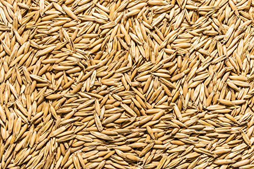 Thunder Acres Non GMO  Certified Organic  Oat Seed  5 lb.