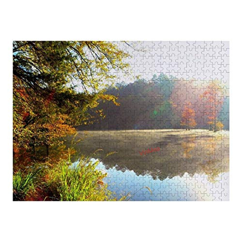 300 Piece Wooden Jigsaw Puzzle for Kids and Adults Light Sun Modulations Lakewood Nature  Perfect for Kids and Adults Intellectual Game Learning Education Decompression Toys  Without Frame