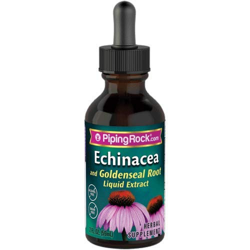 Echinacea  and  Goldenseal Liquid Extract Alcohol Free Dropper Bottle 2 Fluid Ounces