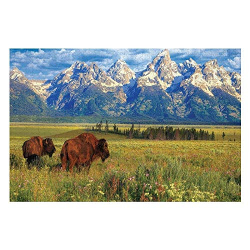 500 Piece Wooden Jigsaw Puzzle Grand Teton National Park Large Puzzle Game for Adults and Teenagers 500 Piece Wooden Jigsaw Puzzle Grand Teton National Park Large Puzzle Game for Adults and Teenagers
