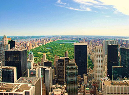 Adult Jigsaw Puzzle Central Park Manhattan Night New York City USA 500-Pieces