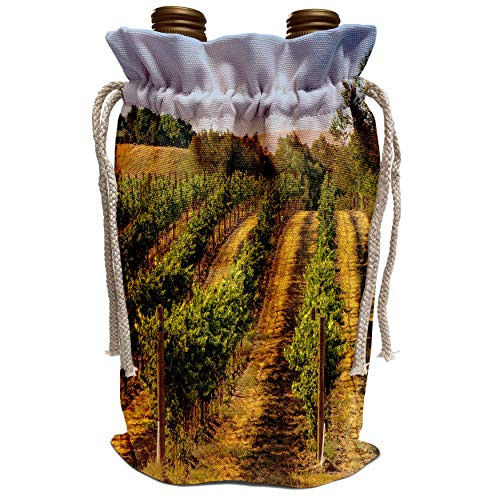 3dRose Danita Delimont - Richard Duval - Vineyards - USA Eastern Washington Walla Walla vineyards ripen in the summer sun - Wine Bag wbg_191803_1 3dRose Danita Delimont - Richard Duval - Vineyards - USA Eastern Washington Walla Walla vineyards ripen in the summer sun - Wine Bag wbg_191803_1