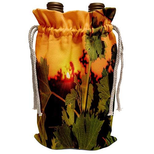 3dRose Danita Delimont - Vineyards - USA Washington Walla Walla. Sunset in Walla Walla vineyard. - Wine Bag wbg_207862_1 3dRose Danita Delimont - Vineyards - USA Washington Walla Walla. Sunset in Walla Walla vineyard. - Wine Bag wbg_207862_1