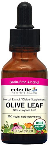 Eclectic Olive Leaf Cog O  Red  2 Fluid Ounce