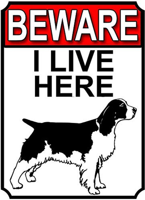 20x30Cm 8x12Inch  Chic Metal Signs Beware I Live Here Never Rust Vintage Look Sign Metal Plate For Guesthouses All Kinds Of Individual Character Places Or Home Decoration