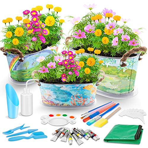 Kids Flower Planting Growing Garden Kit - Richoose Kids Gardening Plant and Paint Arts Crafts Set for Kids All Ages Both Girls and Boys Science STEM Kids Flower Planting Growing Garden Kit - Richoose Kids Gardening Plant and Paint Arts Crafts Set for Kids All Ages Both Girls and Boys Science STEM