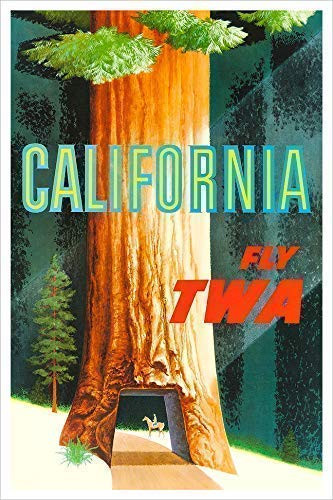 California Redwoods Sequoia National Park - TWA Travel Poster Print by delovely Arts
