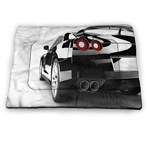 prunushome Cars Rug for Dogs  and  Cats Strong Engine Modern Auto Dog Bed Crate Mat  23 inchx15.5 inch