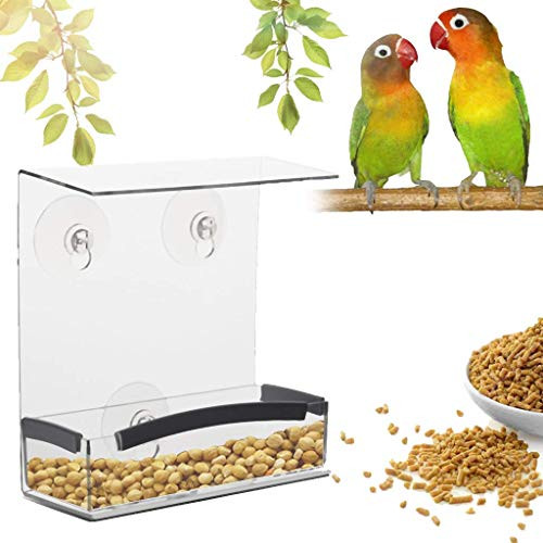 Small Window Bird Feeder with Strong Suction Cups  Seed Tray and Drain Holes  Compact  Clear Acrylic  Easy Clean  Outside Feeders for Bird Watching Gifts