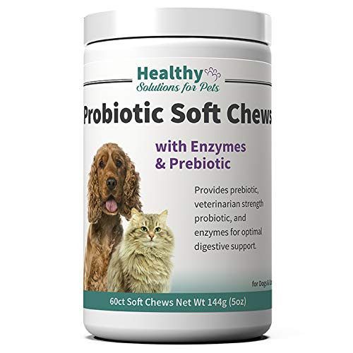 Veterinarian Strength Probiotic Soft Chews with Healthy Enzymes  and  Prebiotic Support Supplement Soft Chew for Your Dog or Cats Stomach  Intestine  Digestion and GI Tract Health  60ct.