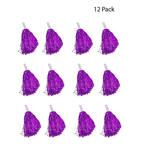 Windy City Novelties Cheerleader Pom Poms - 12 Pack (Purple)