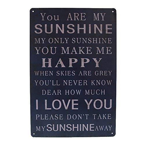 BENTIAN Tin Signs Vintage Funny Man Cave Signs You are My Sunshine I Love You 12x8 Inch Cafe Home Iron Mesh Fence Farm Wall Decor Art