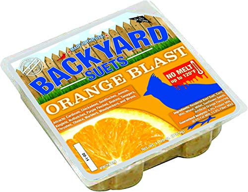 Backyard Seeds No Melt Orange Blast Premium Suet Cakes 12 Pack