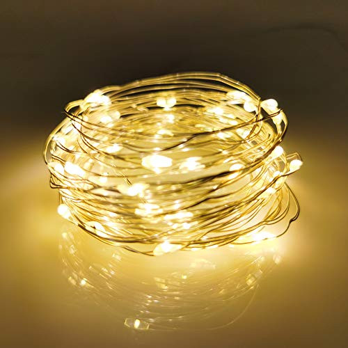 LIIDA Solar Powered String Lights  100 LED Copper Wire Lights  Starry String Lights  Indoor Outdoor Waterproof IP65 Solar Decoration Lights for Patio Garden Christmas Decoration  Warm White