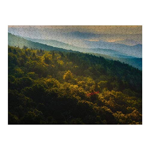 500 Piece Wooden Jigsaw Puzzle for Kids and Adults Morning Sun Forest  Perfect for Kids and Adults Intellectual Game Learning Education Decompression Toys  Without Frame
