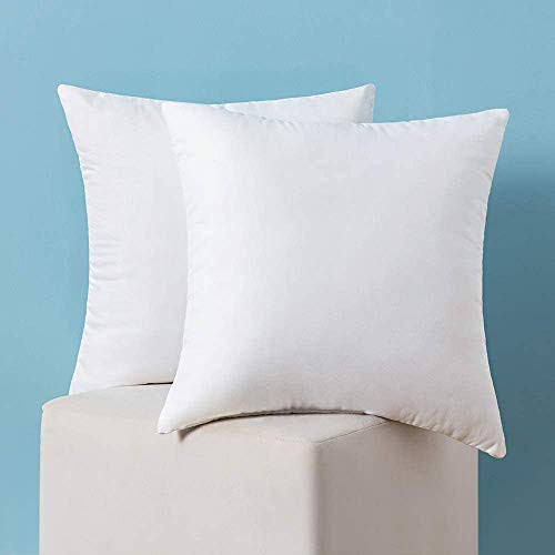 MIULEE Set of 2 Throw Pillow Inserts Hypoallergenic Premium Pillow Stuffer Square Form for Decorative Cushion Bed Couch Sofa 22x22 Inch