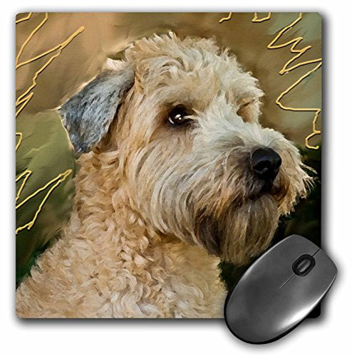 3dRose LLC 8 x 8 x 0.25 Inches Mouse Pad  Soft Coated Wheaten Terrier Portrait  mp_4808_1